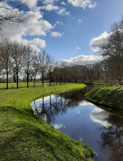 BornseBeek400x525