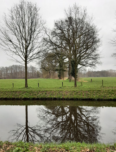 BornsebeekEik400x525