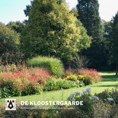 De Kloostergaarde sortimenstuin400x400
